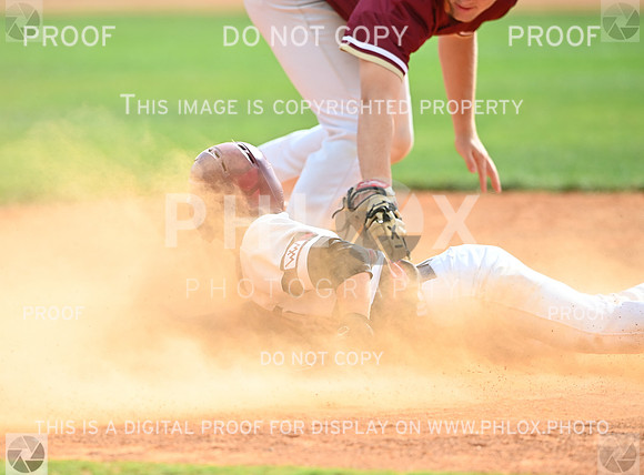 DLS_4407
