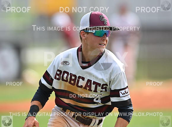 DLS_4624