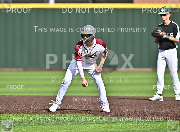 DLS_8676