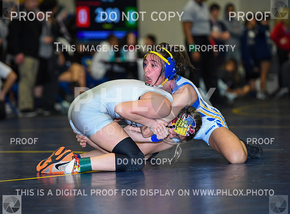 FDS_4783