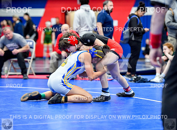 FDS_2242