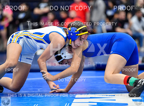 FDS_9275