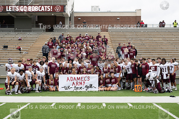 DLS_3378