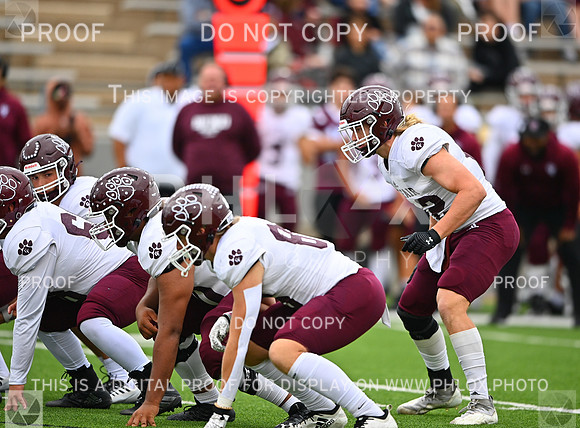 DLS_3731