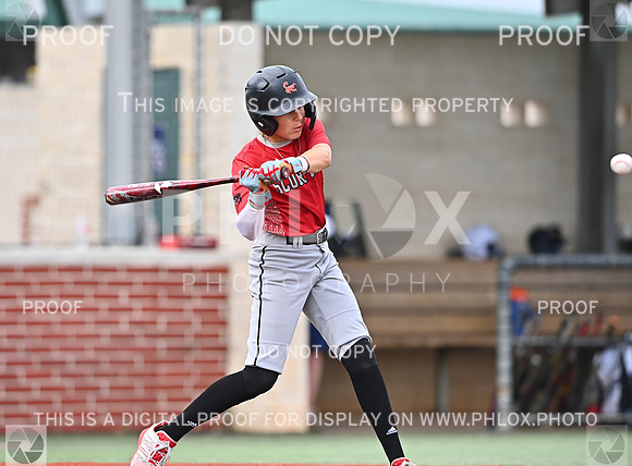 DLS_0093