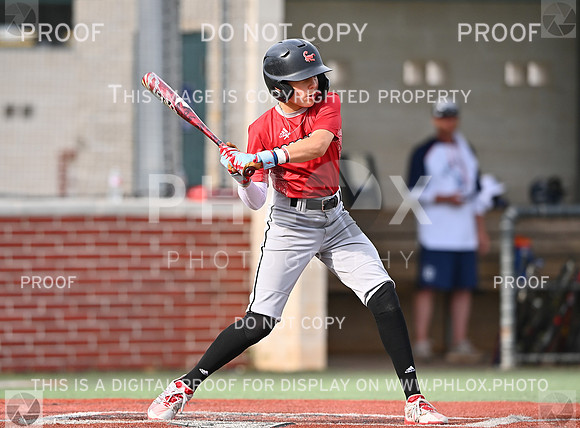 DLS_0099