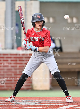 DLS_0096