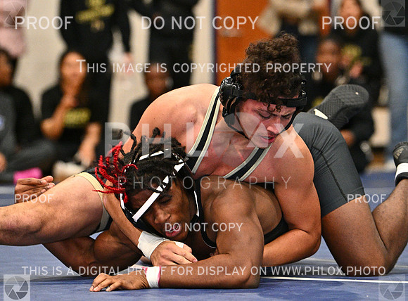DLS_8545