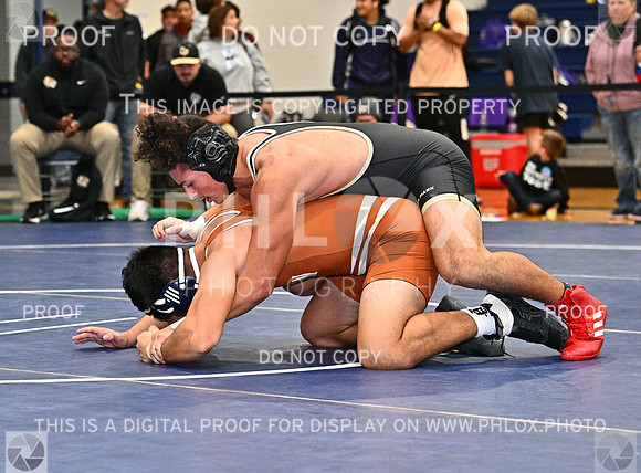 DLS_8253