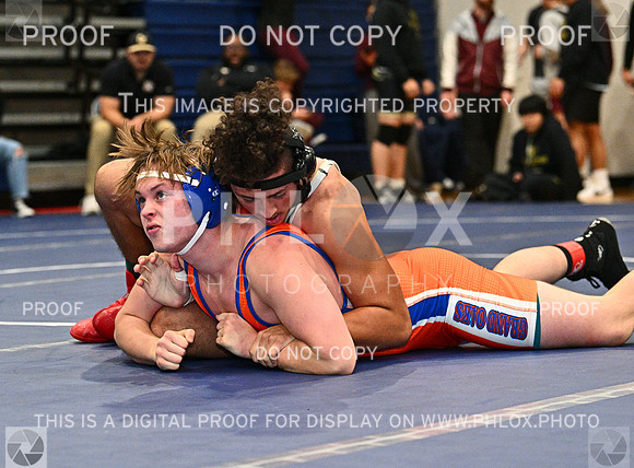 DLS_8031