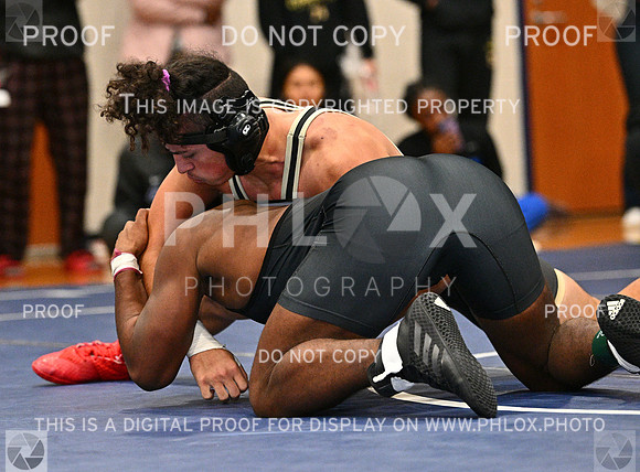 DLS_8544