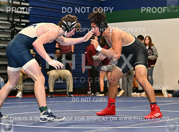 DLS_8062