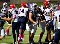 RP2_8091