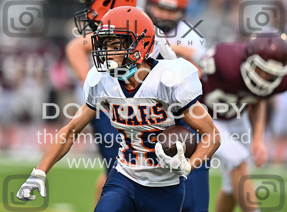 DLS_6000