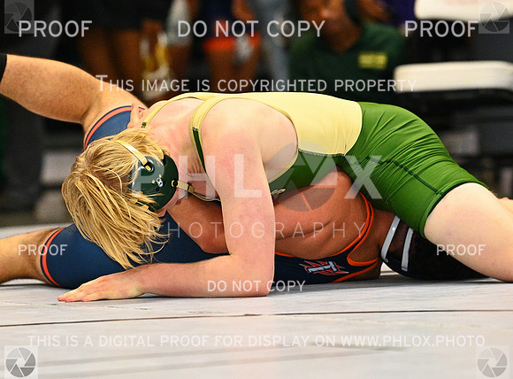 DLS_9648
