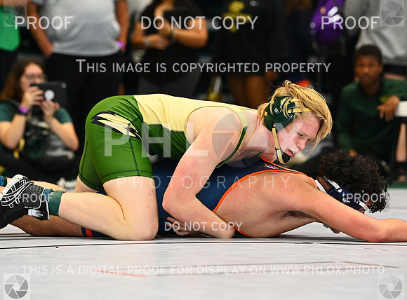 DLS_9643
