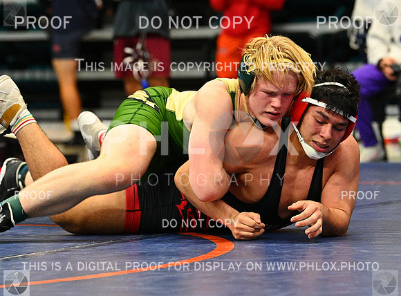 DLS_0260