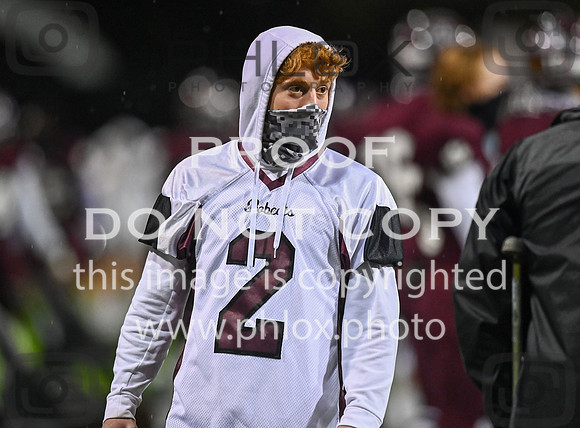 DLS_8245