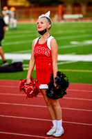 FDS_7443