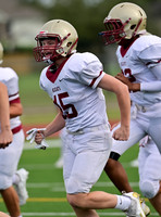 45 Sam McLemore Cy Woods 10-14