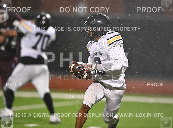 DLS_5286