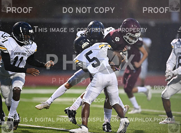 DLS_4922