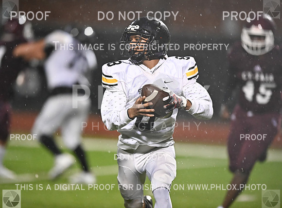 DLS_5291