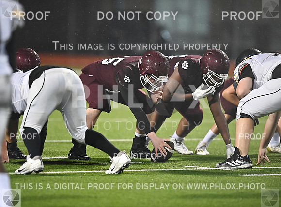 DLS_5378