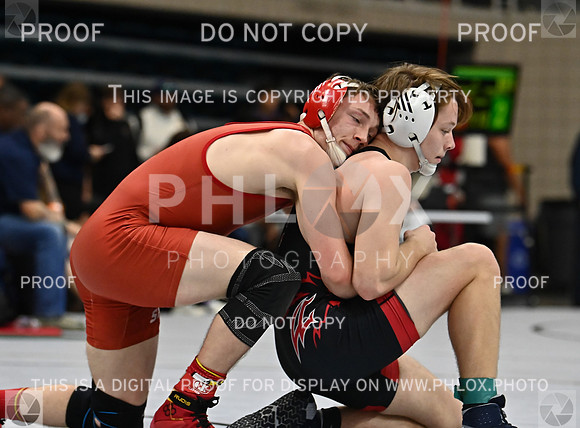 DLS_1843