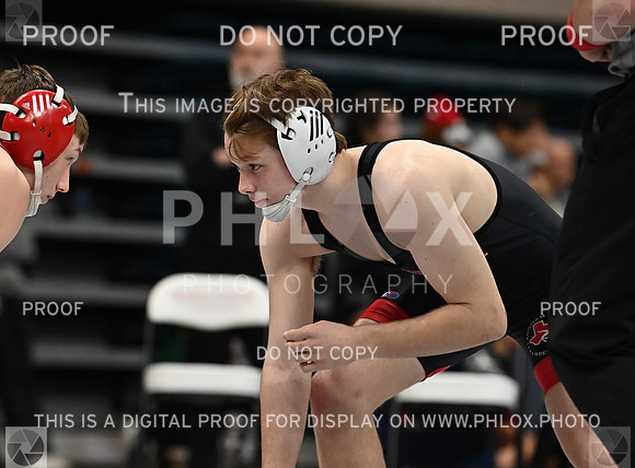 DLS_1817