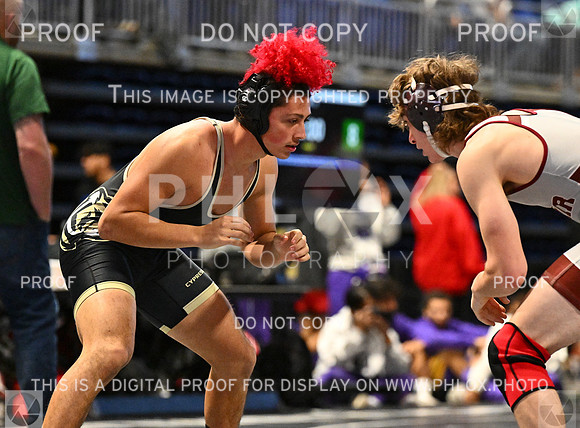DLS_5648