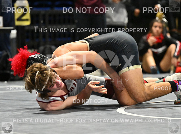 DLS_5701