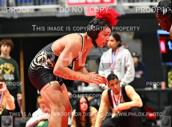 DLS_7145-2
