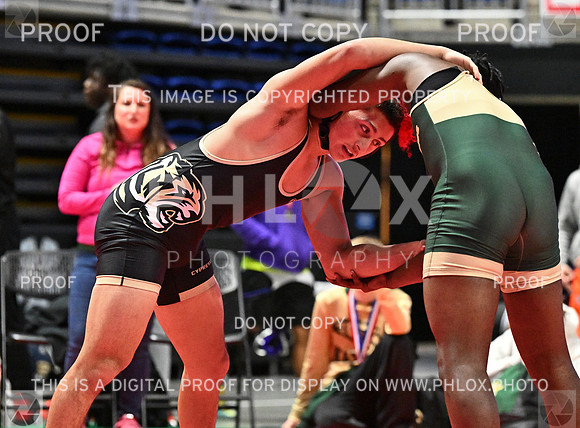 DLS_7192-2