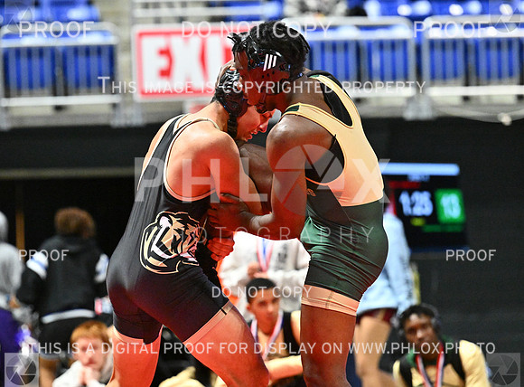 DLS_7122-2