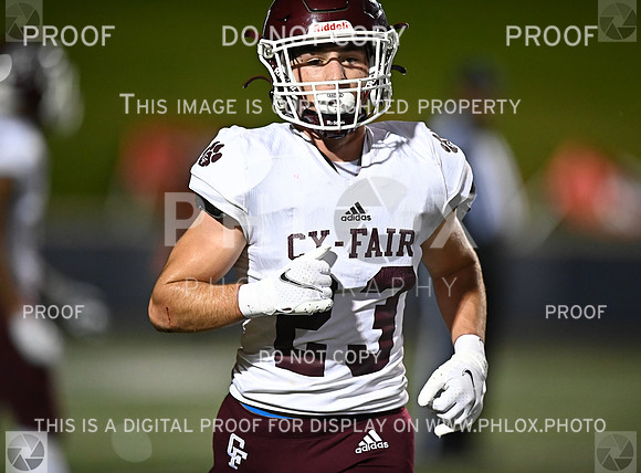 DLS_7428