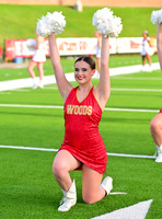 JO6_3935