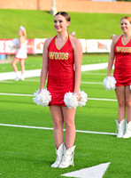 JO6_3936