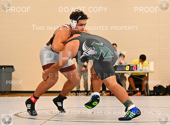 DLS_4028