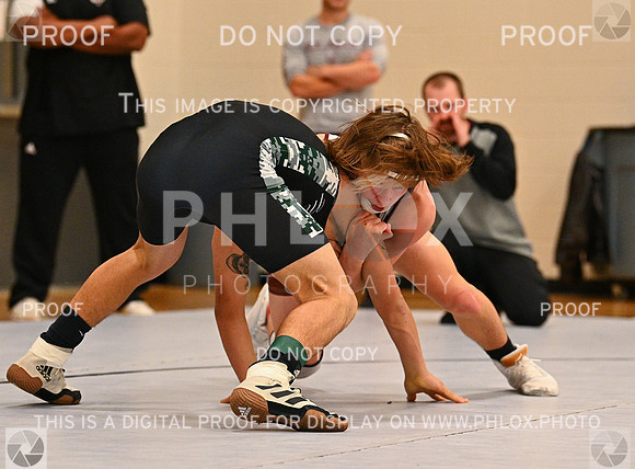 DLS_4154