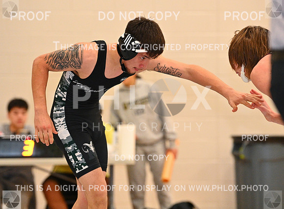 DLS_4171