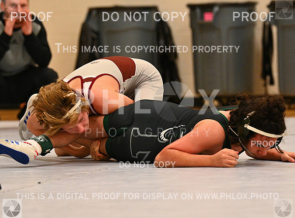 DLS_4107