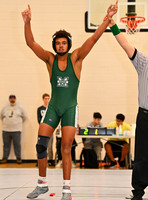 DLS_3966