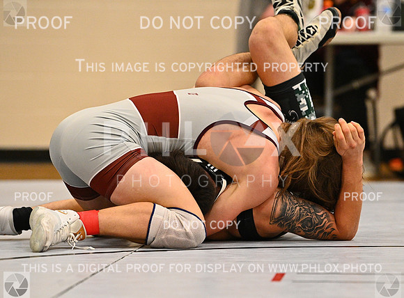 DLS_4174