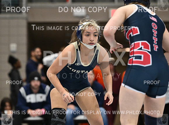 DLS_4074