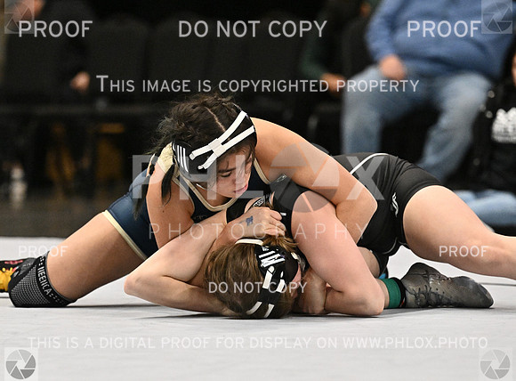 DLS_4236