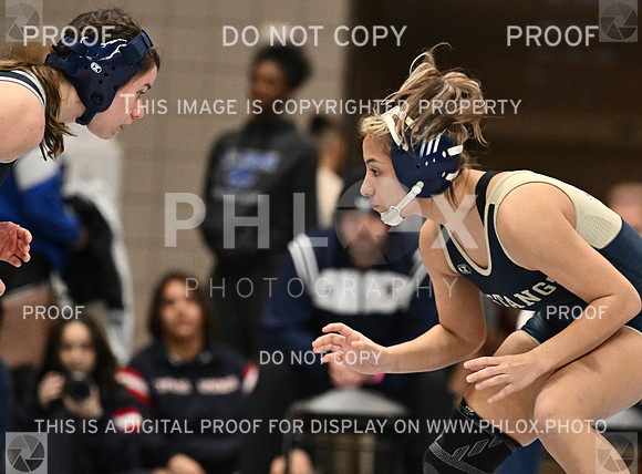 DLS_4024