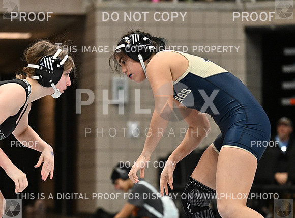 DLS_4231