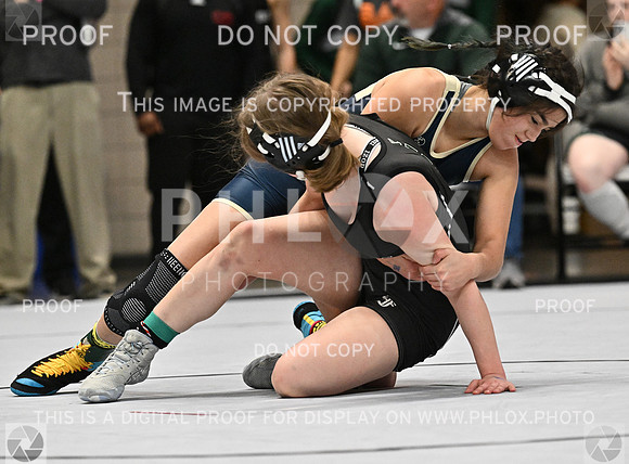 DLS_4293