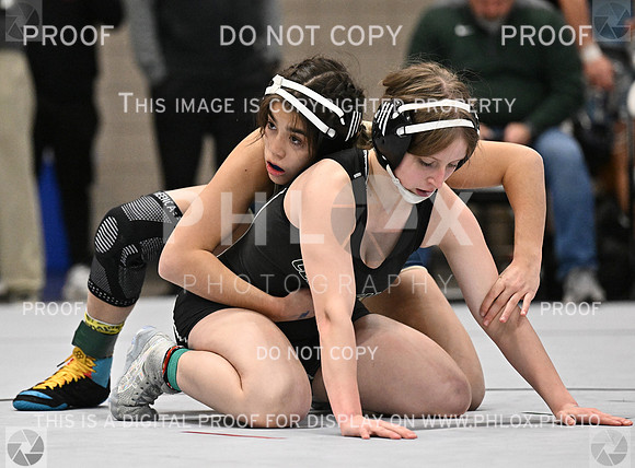 DLS_4252
